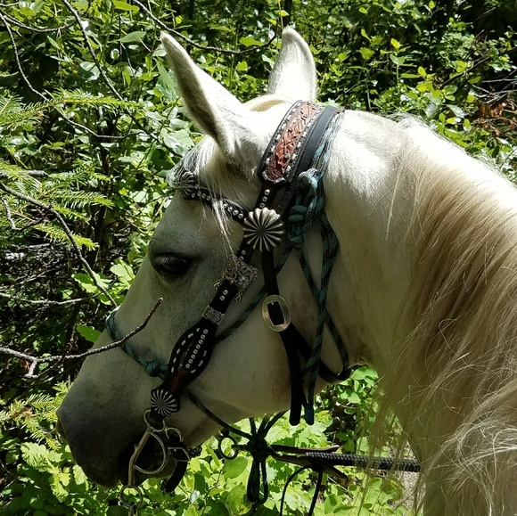 Meet your Posher, Cheryl - Picture 3 of 7